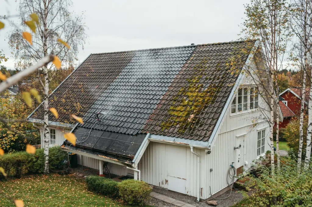mossa p taket s tar du bort p v xt skonsamt och f rebygger att den kommer tillbaka